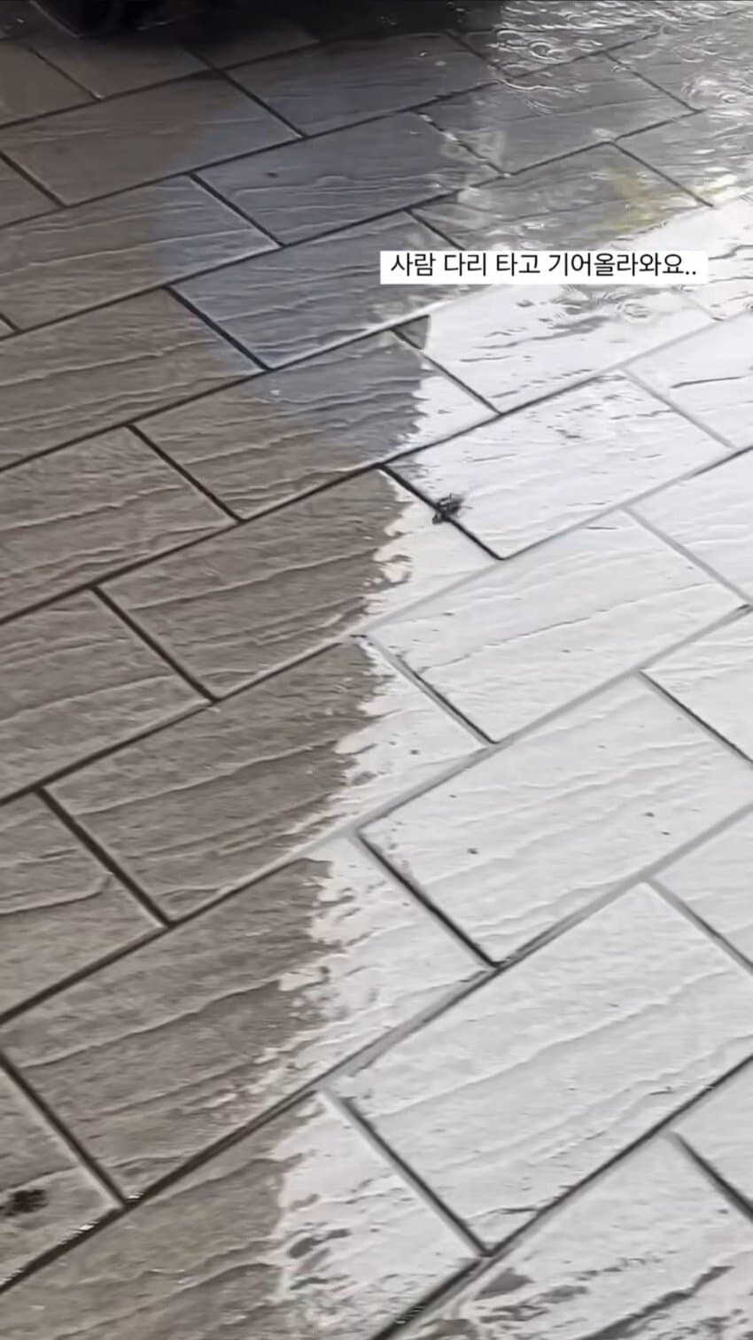 대만에서 비올때 조심해야하는거_4.jpg