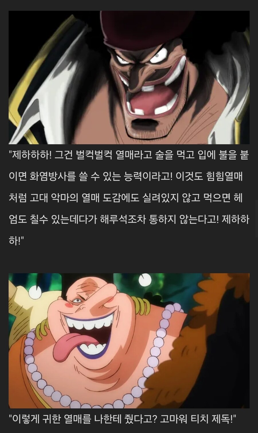 원피스 플라시보 해적단 근황_4.jpg