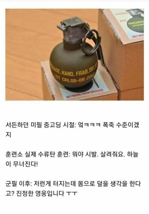나이별로 보는 수류탄 인식.jpg_1.jpg