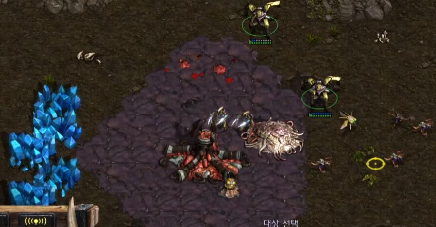 버미육)설날 스타 대회 3회전 결과_1.png