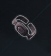 엔더 매그놀리아 모든 장비 리스트_21.png