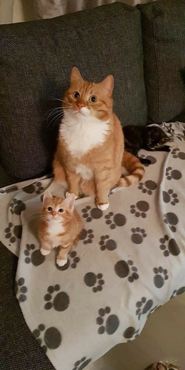 누가 봐도 부모 자식 관계_1.jpg