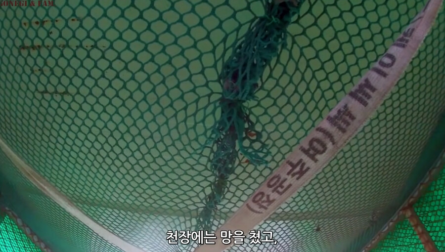 족제비를 싫어하는 사람들.jpg_4.jpg