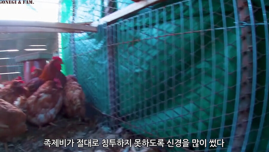 족제비를 싫어하는 사람들.jpg_6.jpg