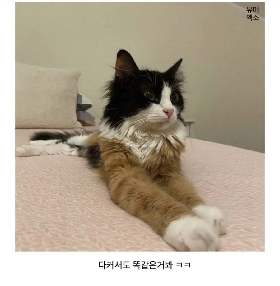 젤나가 맙소사_1.jpg