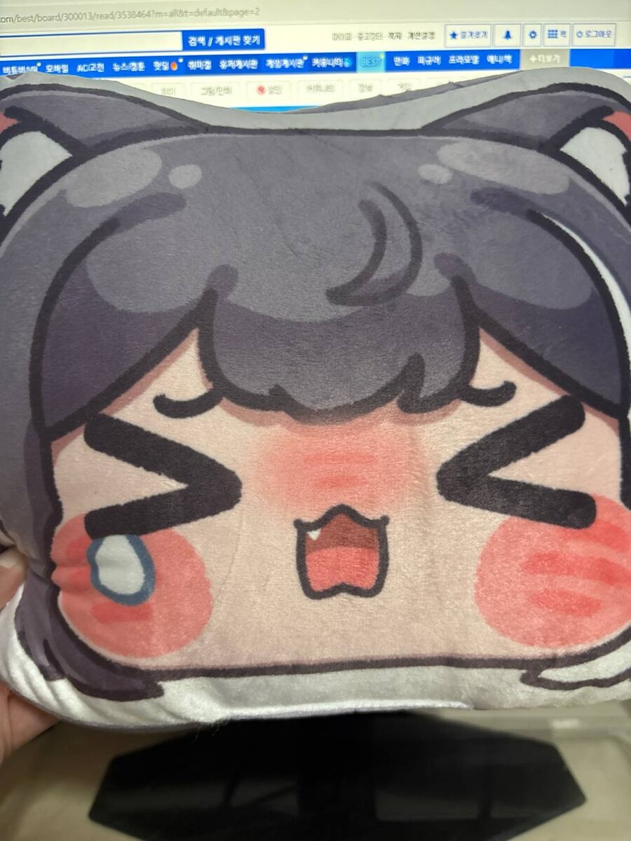 어둠의 캬루단에게 강매당했던 썰 푼다.jpg_5.jpg