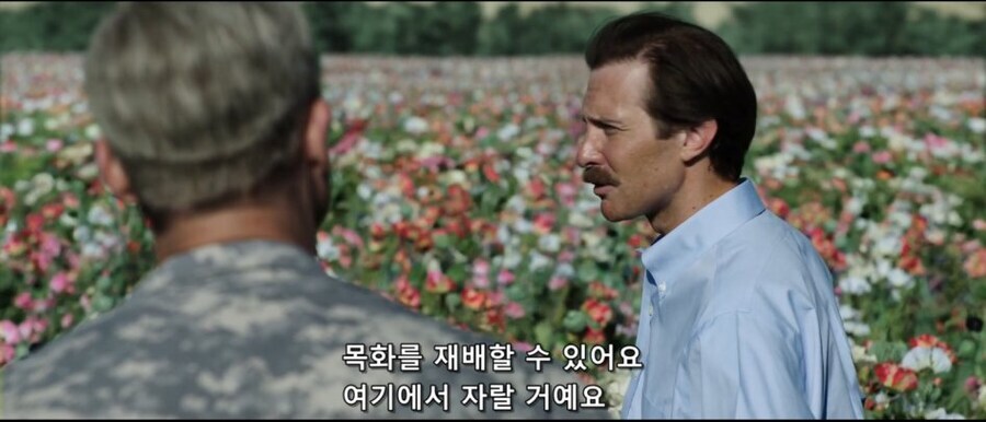 아프가니스탄 재건사업 중에 양귀비 재배가 계속된 이유_2.jpg