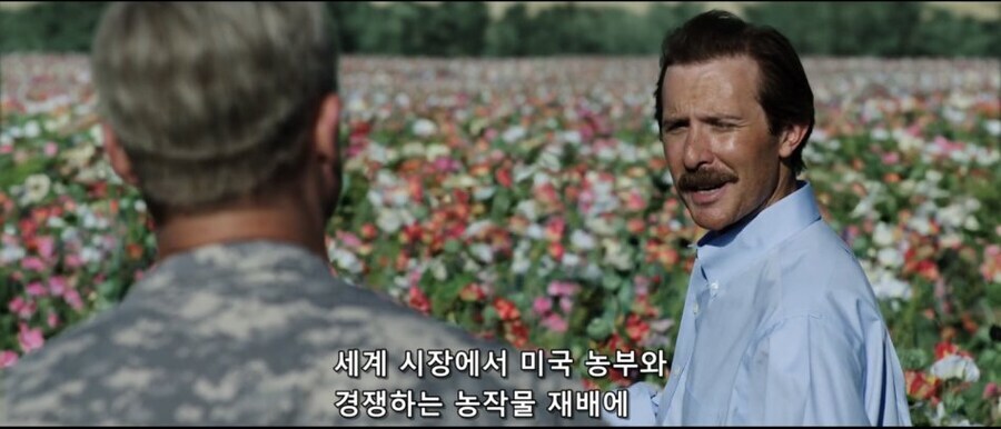 아프가니스탄 재건사업 중에 양귀비 재배가 계속된 이유_5.jpg