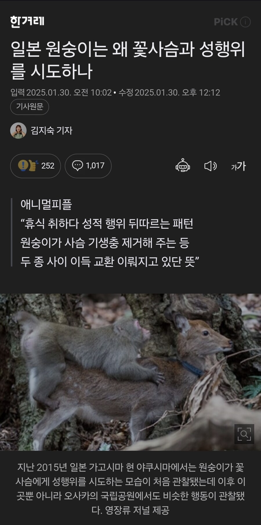 언론이 ㅈ토피아 짤 올림 ㅠ_1.jpg