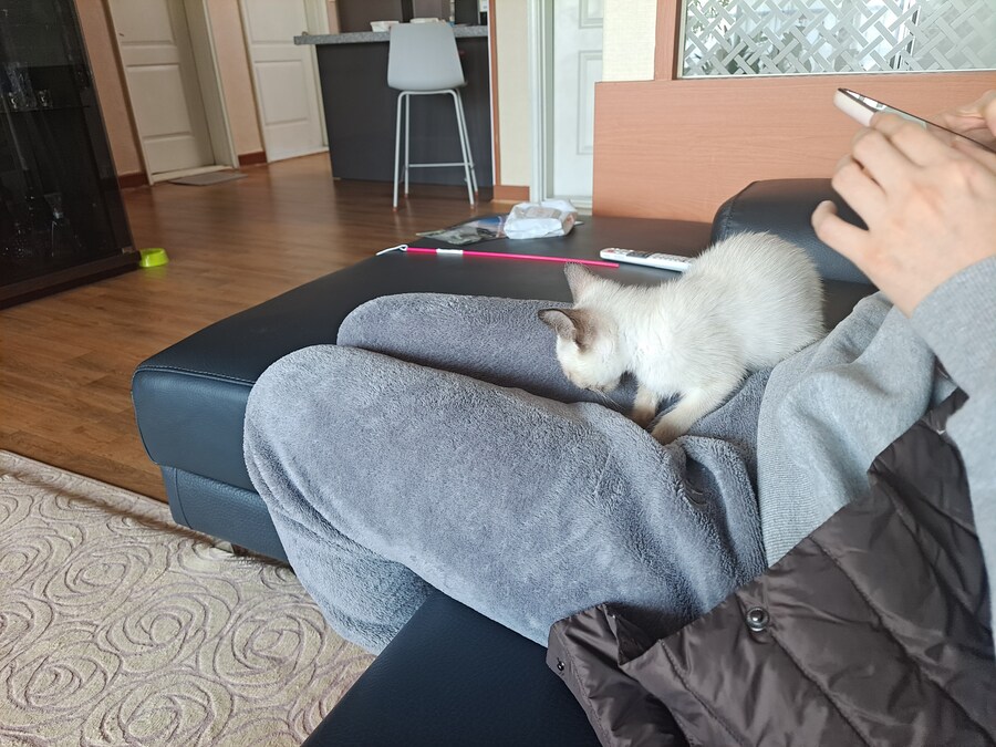 우리집 충묘 사진 좀 보세요~~~_2.jpg