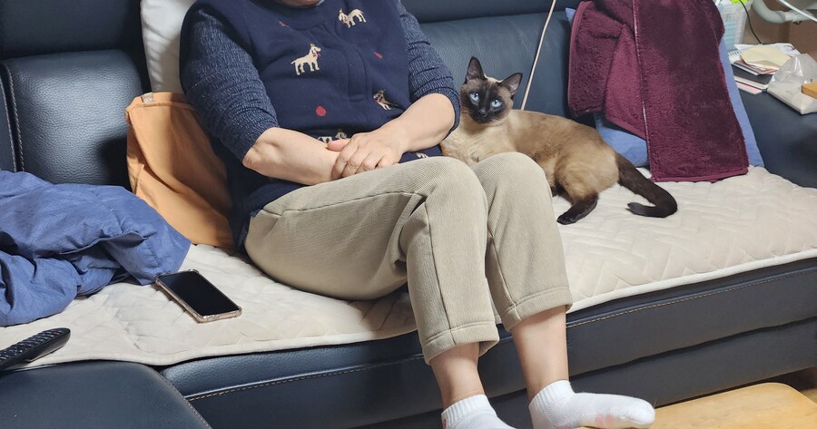 우리집 충묘 사진 좀 보세요~~~_5.jpg