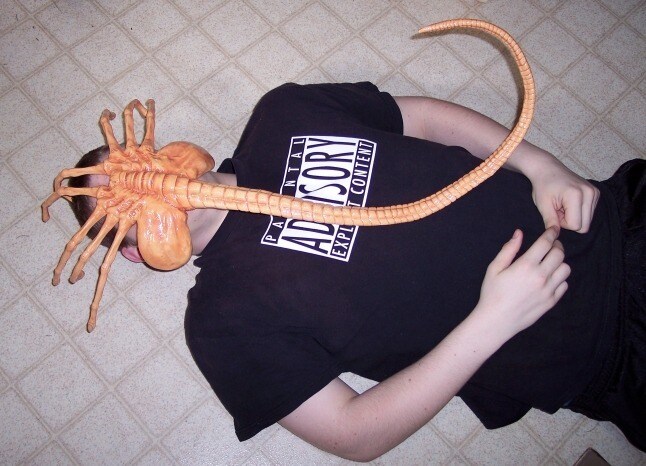 [혐오주의]공포의 페이스 허거_1.jpg