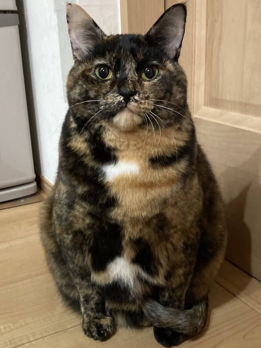 철저한 확대 사건.jpg_2.jpg