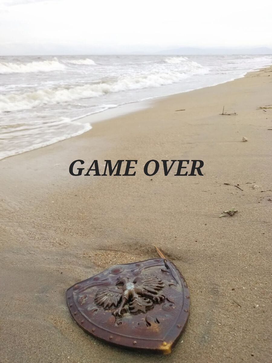 해변을 걷다 발견한 용사의 방패.jpg_4.jpg