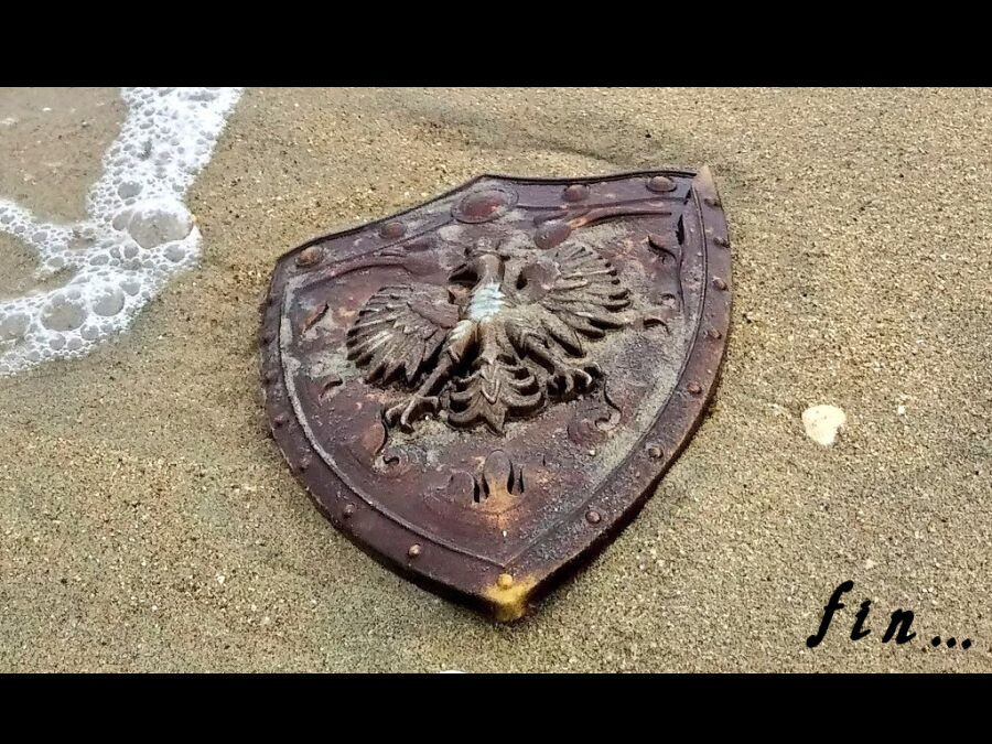 해변을 걷다 발견한 용사의 방패.jpg_5.jpg