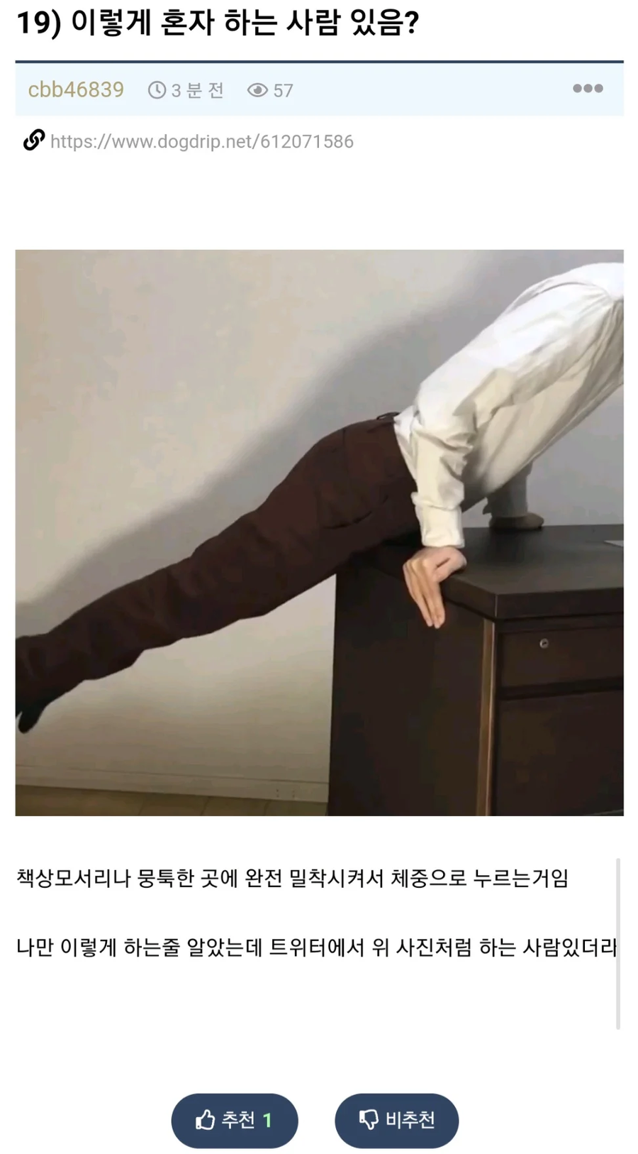 19) 이렇게 혼자 하는 사람 있음?_1.webp