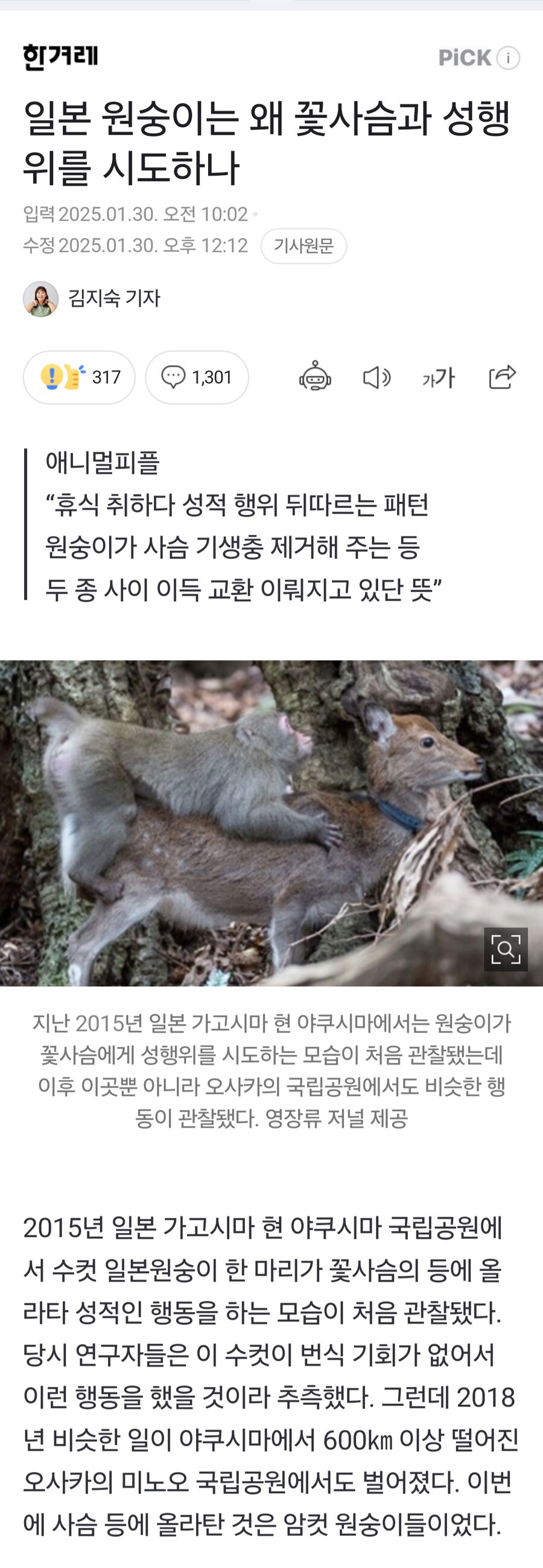 일본 원숭이는 왜 꽃사슴과 성행위를 시도하나.news_1.jpg