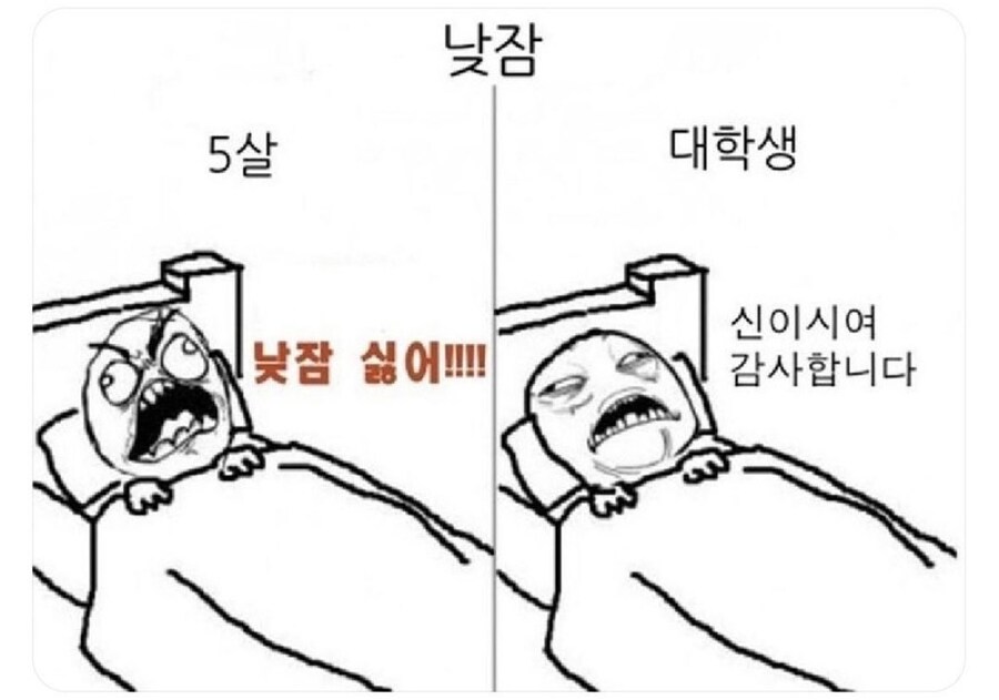 유머)나이에 따른 낮잠에 대한 인식 변화_1.jpg