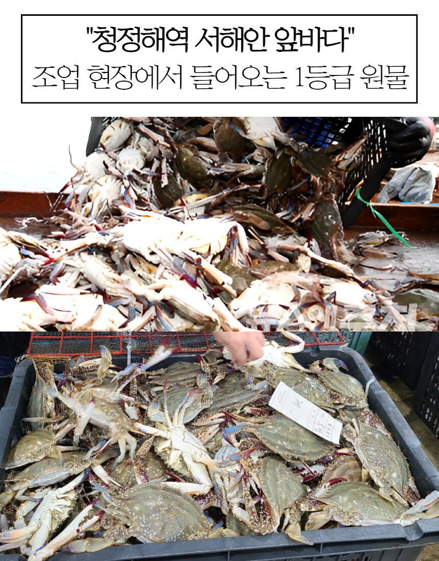 [네이버] 인천 게장 맛집의 다양한 게장을 라방 혜택가로~!_5.jpg