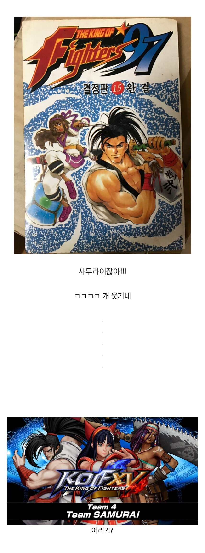 킹 오브 파이터즈 만화책 15권 표지 뭐냐..?!? ㅋㅋㅋ_1.jpg