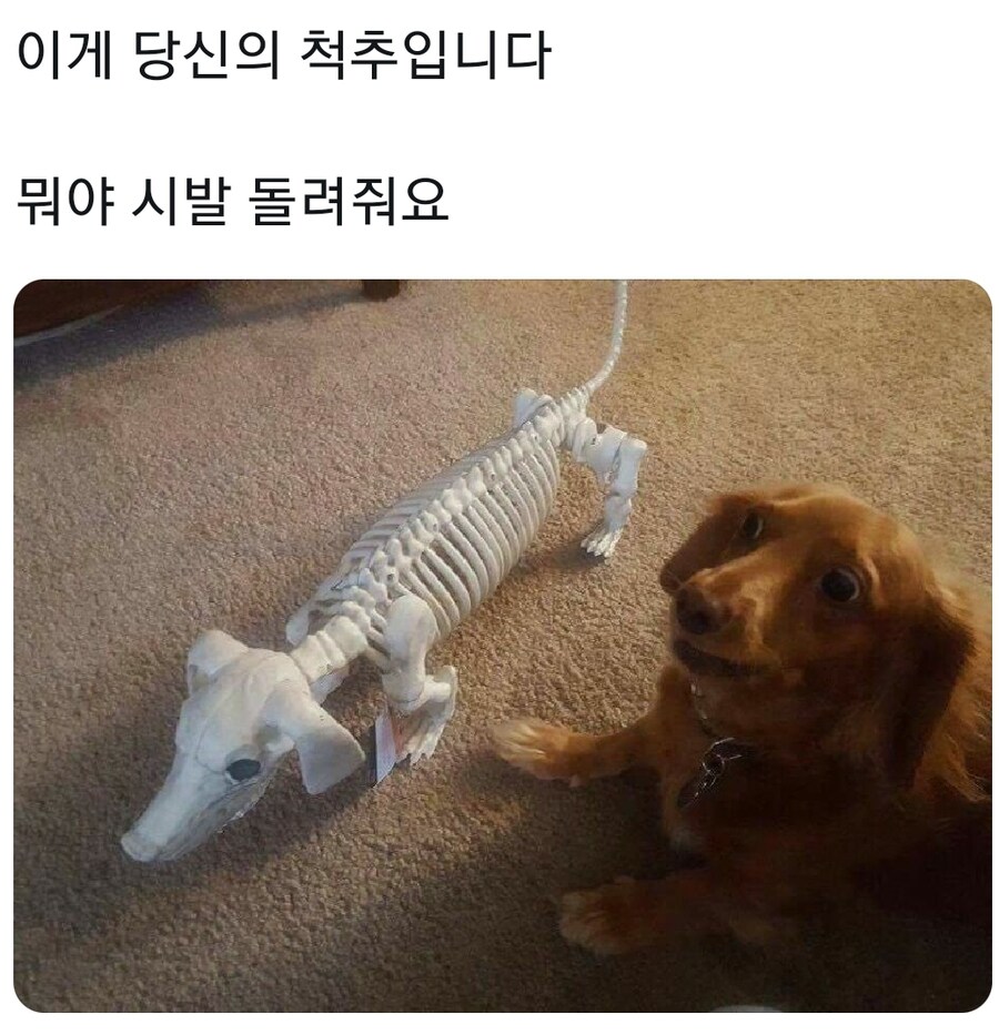 젊어서 돈 팍팍써야 좋은 분야_1.jpg