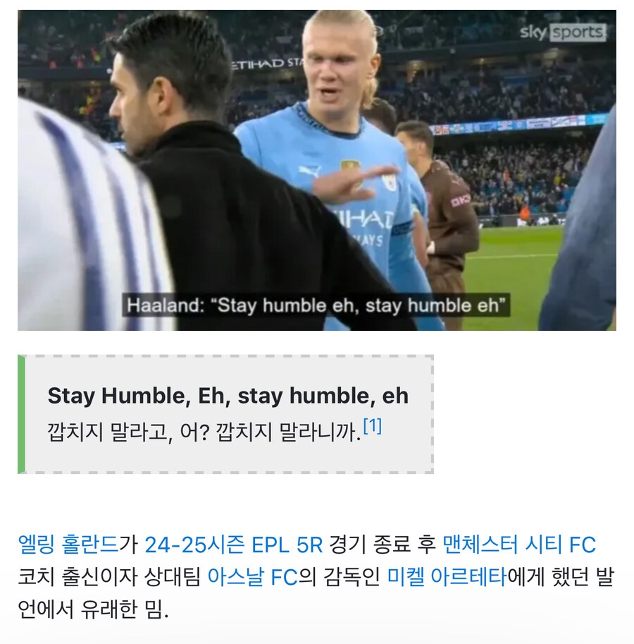 업보 씨게 맞는 홀란드 근황.jpg_1.jpg