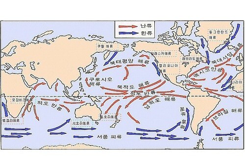 사막에 나무심기가 한반도 녹화사업과 기본전제부터 틀린이유_3.jpg