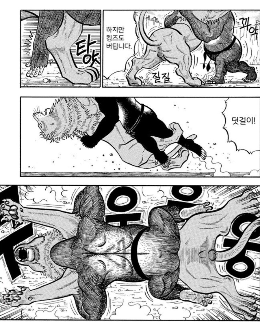 사자를 격투기로 이길 수 없는 이유.manwha_1.jpg