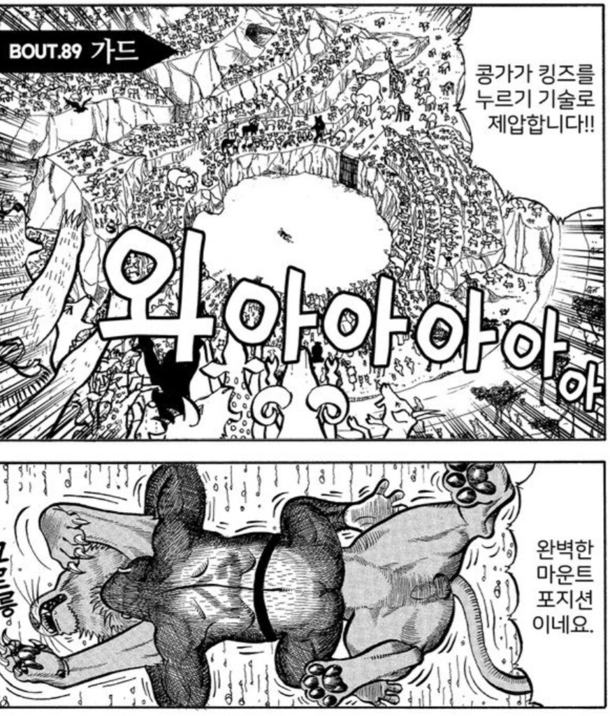 사자를 격투기로 이길 수 없는 이유.manwha_3.jpg