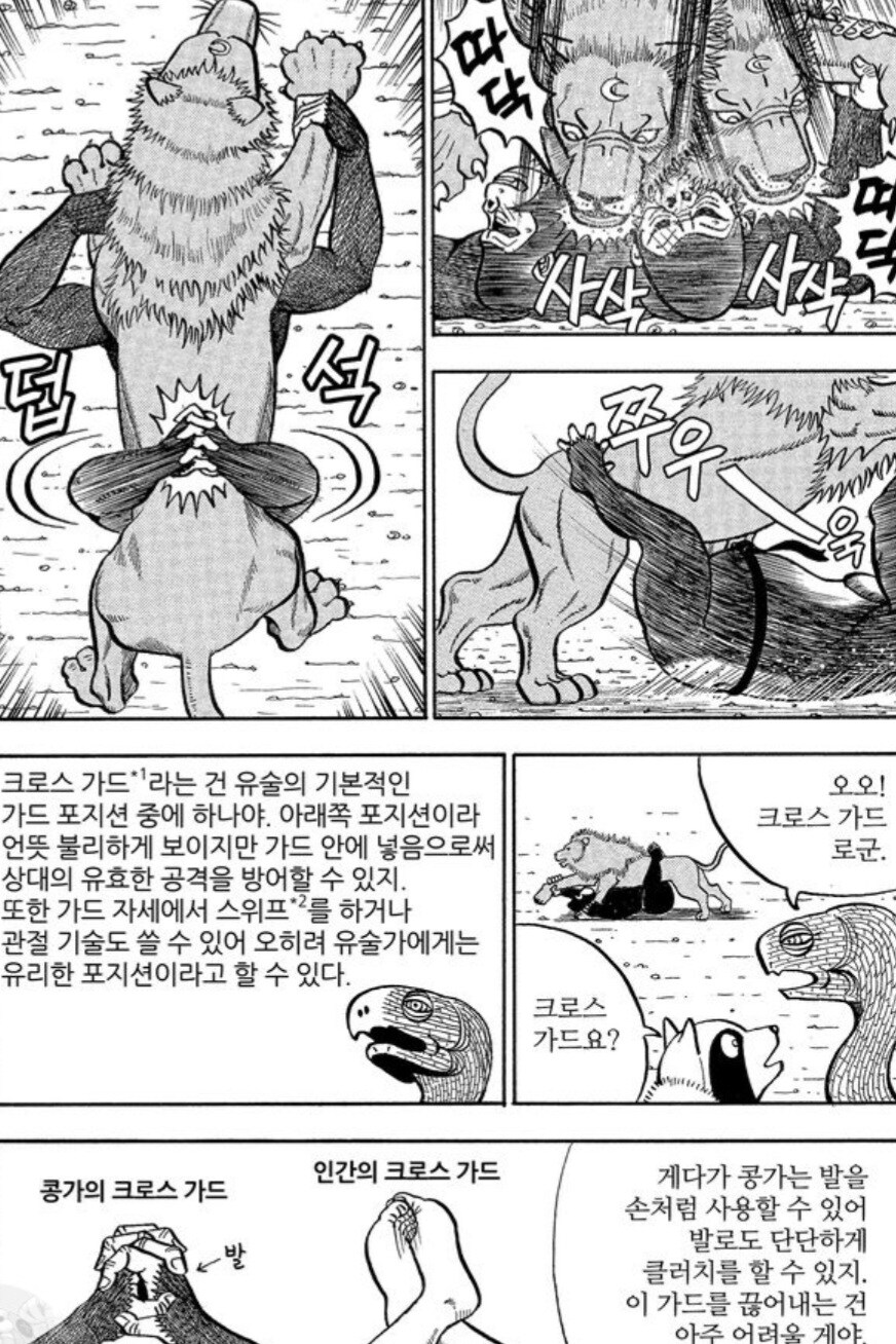 사자를 격투기로 이길 수 없는 이유.manwha_8.jpg