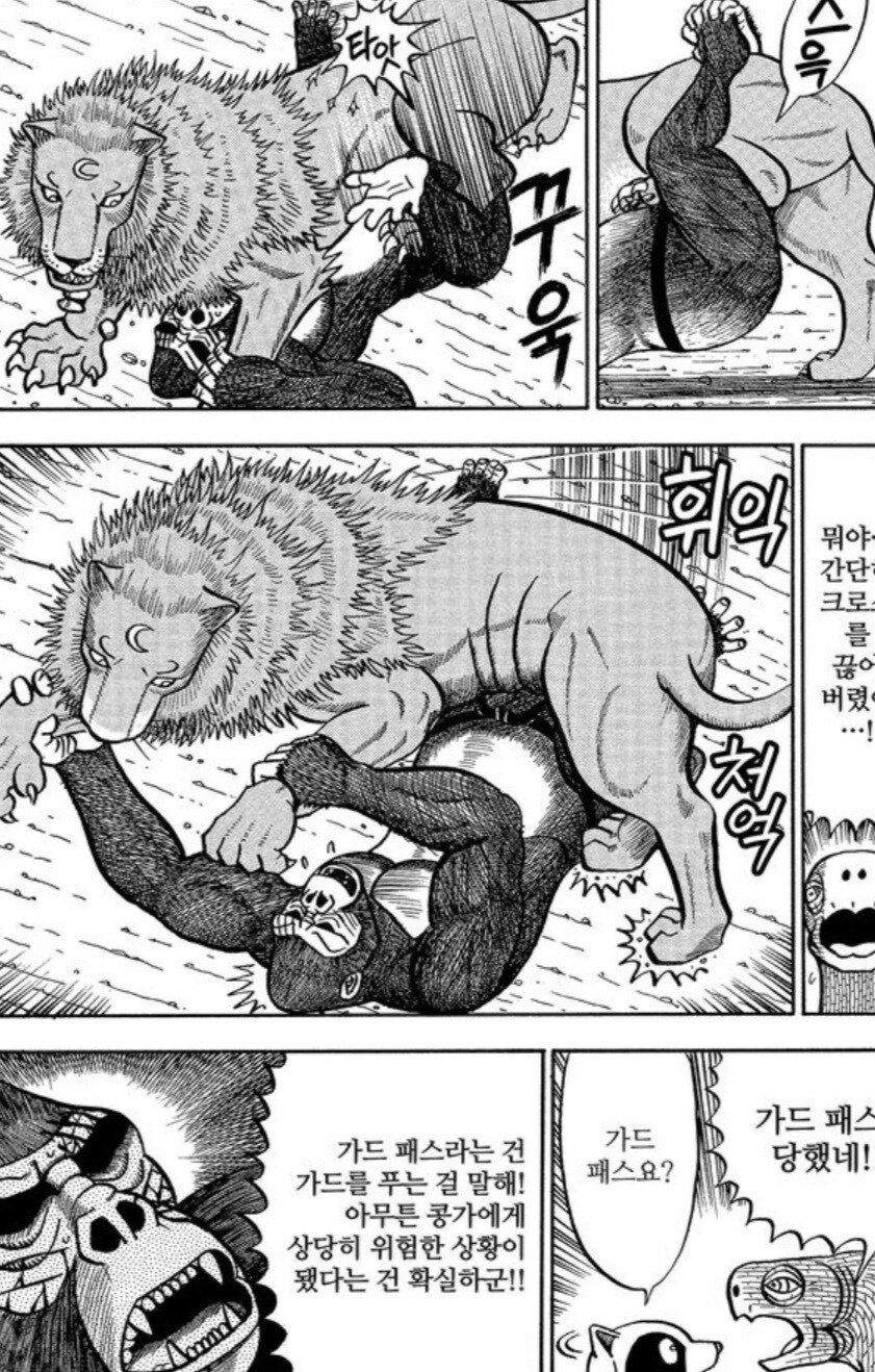 사자를 격투기로 이길 수 없는 이유.manwha_9.jpg