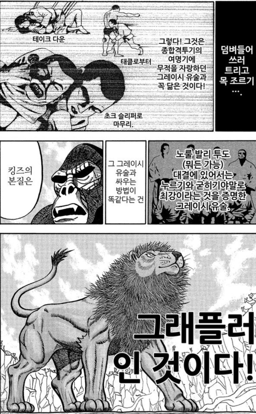 사자를 격투기로 이길 수 없는 이유.manwha_12.jpg