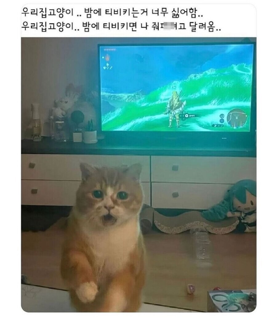 이새퀴야 티비좀 키지말라고.jpg_1.jpg