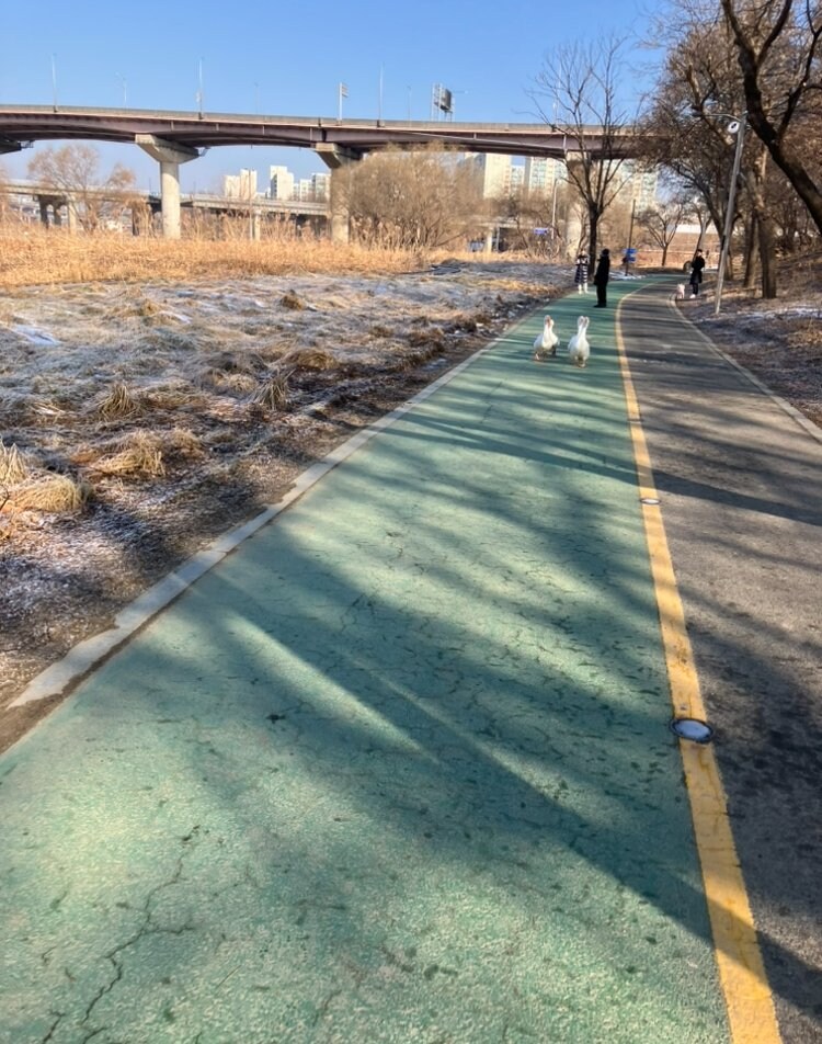 요즘 잠잠하다가 미쳐버린 러닝 크루 근황 ㄷㄷ_1.jpg