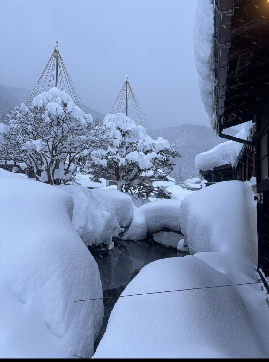 실시간 일본의 다설지 시라카와고 근황_1.jpg