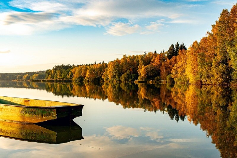 야생 비버들 덕분에 19억원을 아낀 체코_3.jpg