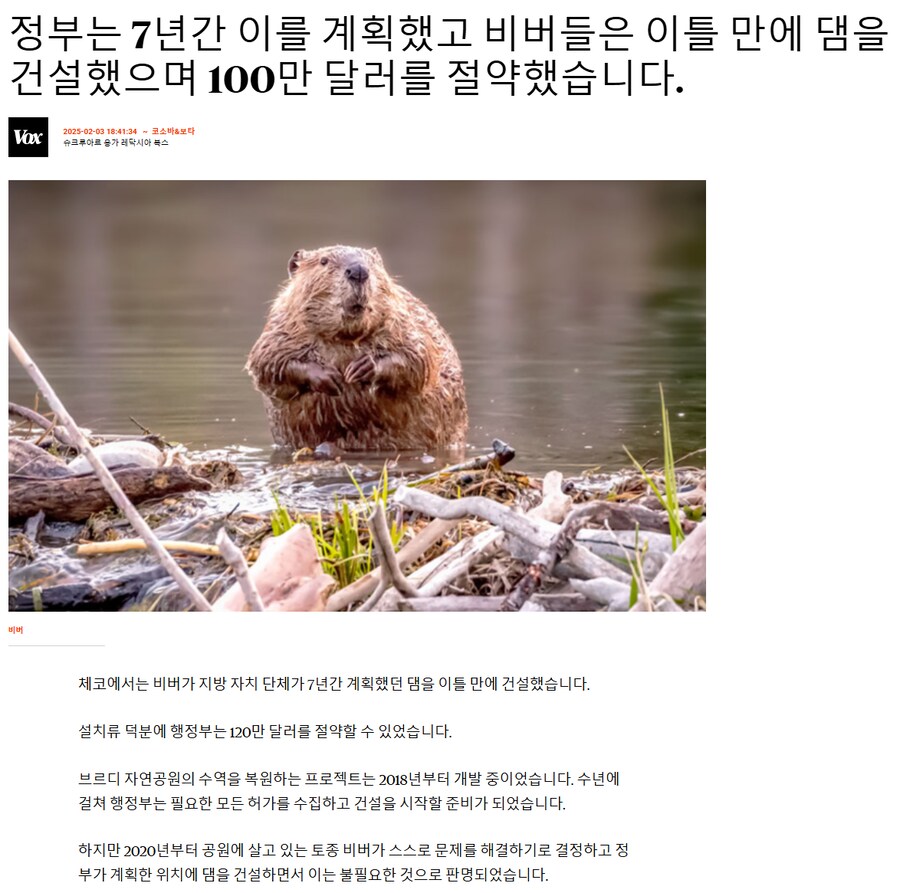 야생 비버들 덕분에 19억원을 아낀 체코_5.png