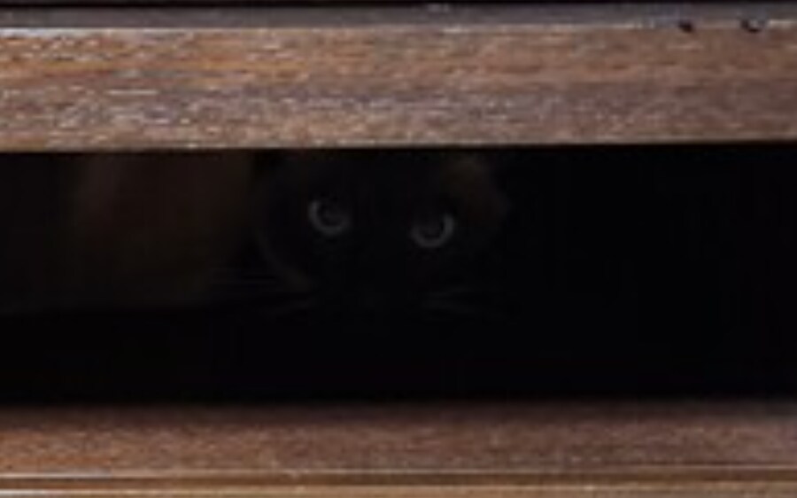 저는 준법정신이 투철해서 무슨무슨 법 이렇게 잘 지키는 사람입니다_1.png