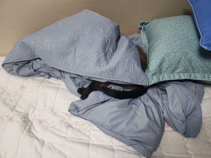 저는 준법정신이 투철해서 무슨무슨 법 이렇게 잘 지키는 사람입니다_3.jpg