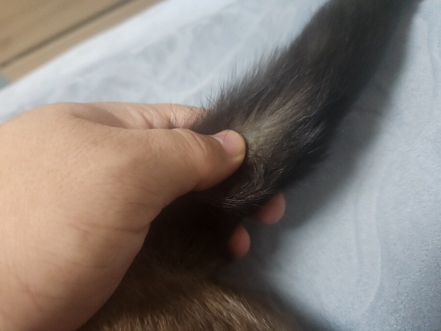 저는 준법정신이 투철해서 무슨무슨 법 이렇게 잘 지키는 사람입니다_6.jpg