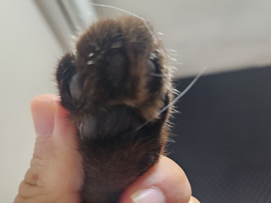 저는 준법정신이 투철해서 무슨무슨 법 이렇게 잘 지키는 사람입니다_10.jpg