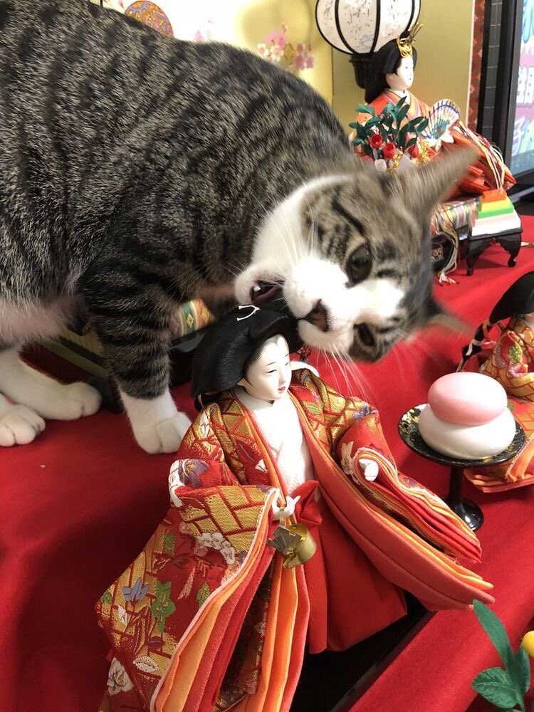 저주받은 일본 인형🎎_2.jpg