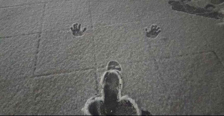 하.. 눈길조심해라 유게이들아_1.png