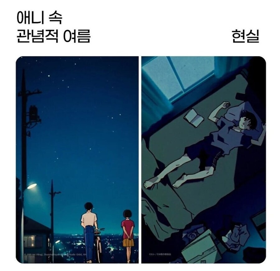 애니 속 관념적 여름 VS 현실.jpg_1.jpg