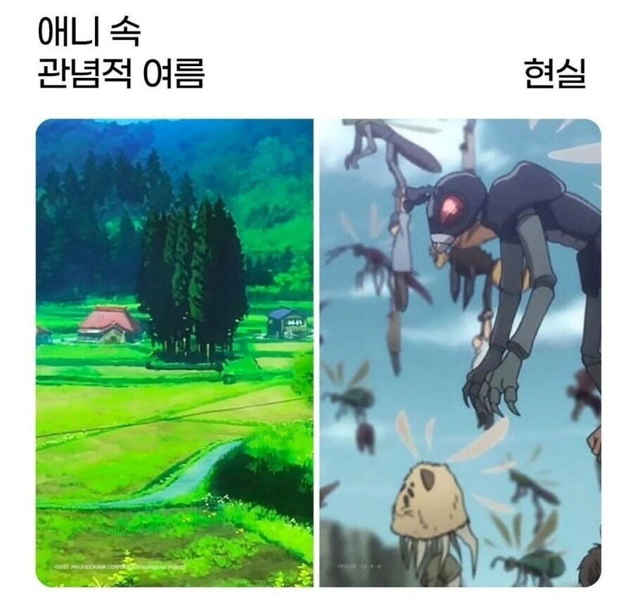 애니 속 관념적 여름 VS 현실.jpg_2.jpg