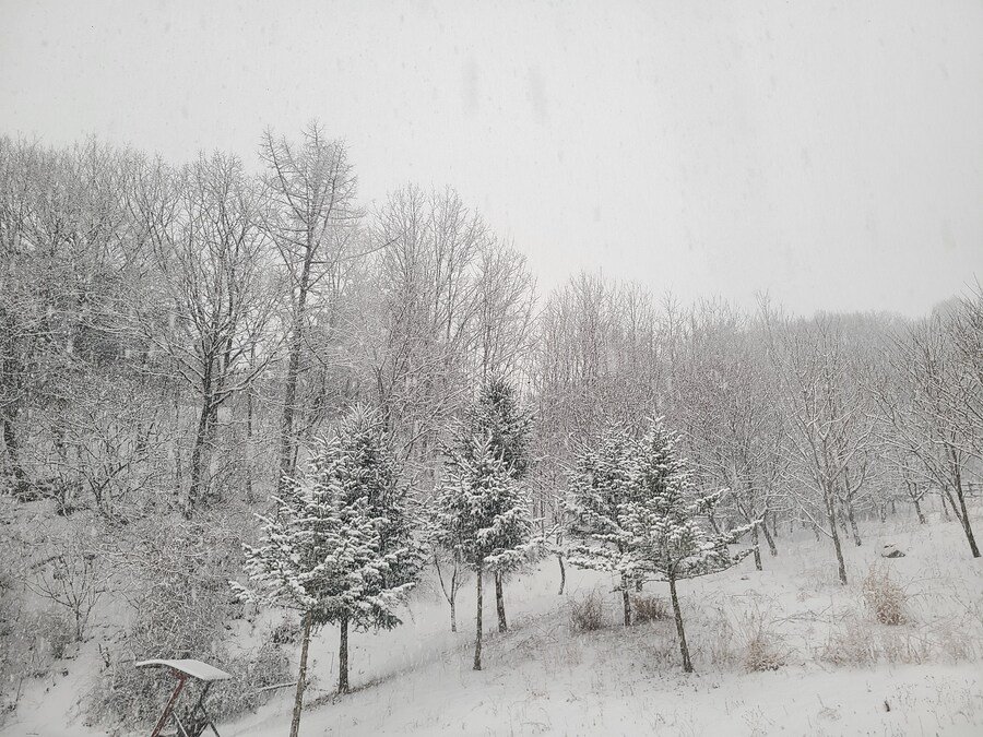 제설 한번 했습니다..._2.jpg