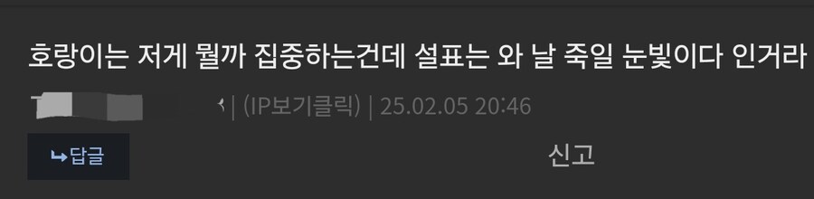 설표 만난 호랑이 표정이 결코 안전하지 않은 이유_2.jpg