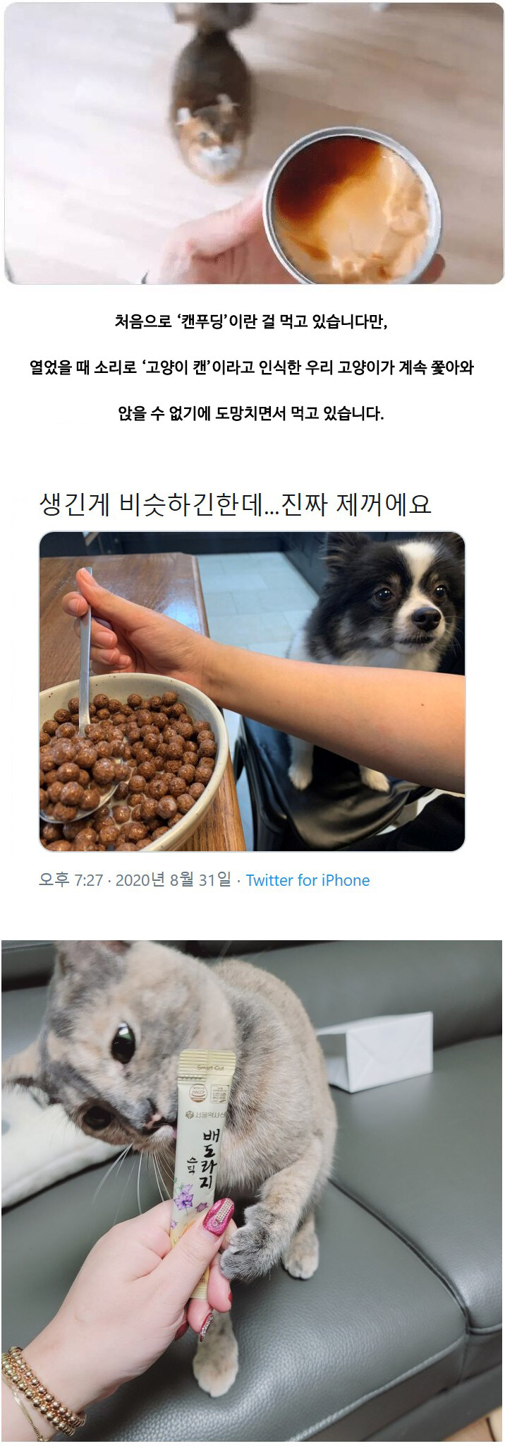 아니야. 네거 아니야. 어허!_1.jpg