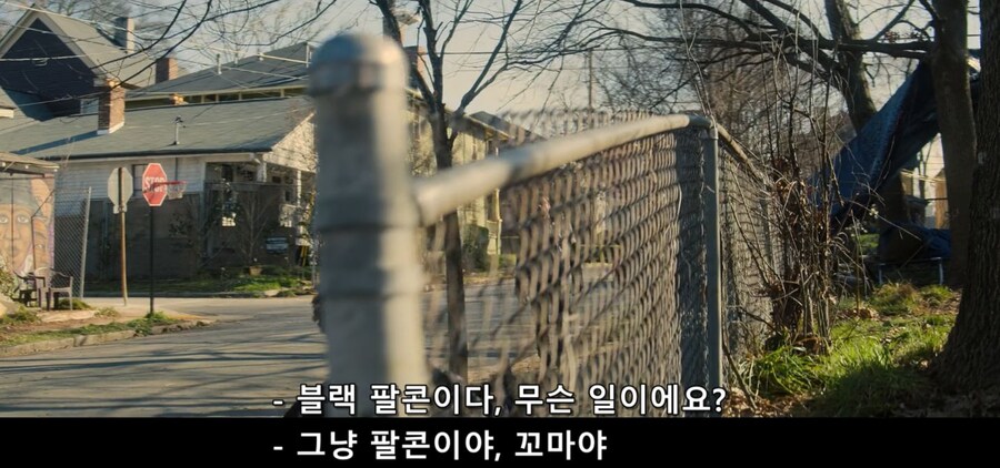 MCU)블랙 팔콘이 아니라 그냥 팔콘이란다_1.jpg