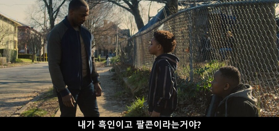 MCU)블랙 팔콘이 아니라 그냥 팔콘이란다_2.jpg